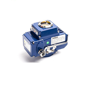 Attuatore elettrico 110V ON OFF Produttore