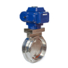 Butterfly Valve Motorized Electric 2in