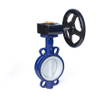 Gear-Operated Fully Lined Butterfly Valves