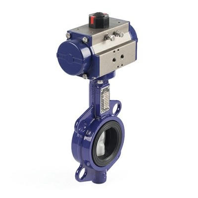 Butterfly Valve Price Philippines
