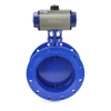 Teflon Butterfly Valve 6
