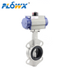Butterfly Valve Manufacturers in Italy