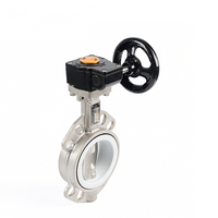 DN 18 Butterfly Valve Type with Gear